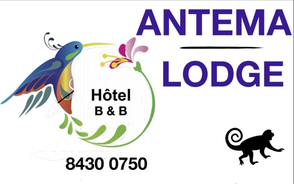 Antema Lodge Tamarindo Exterior foto